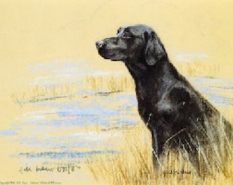 Impresión de Labrador Retriever Negro: Gill Evans Edición Limitada AP43