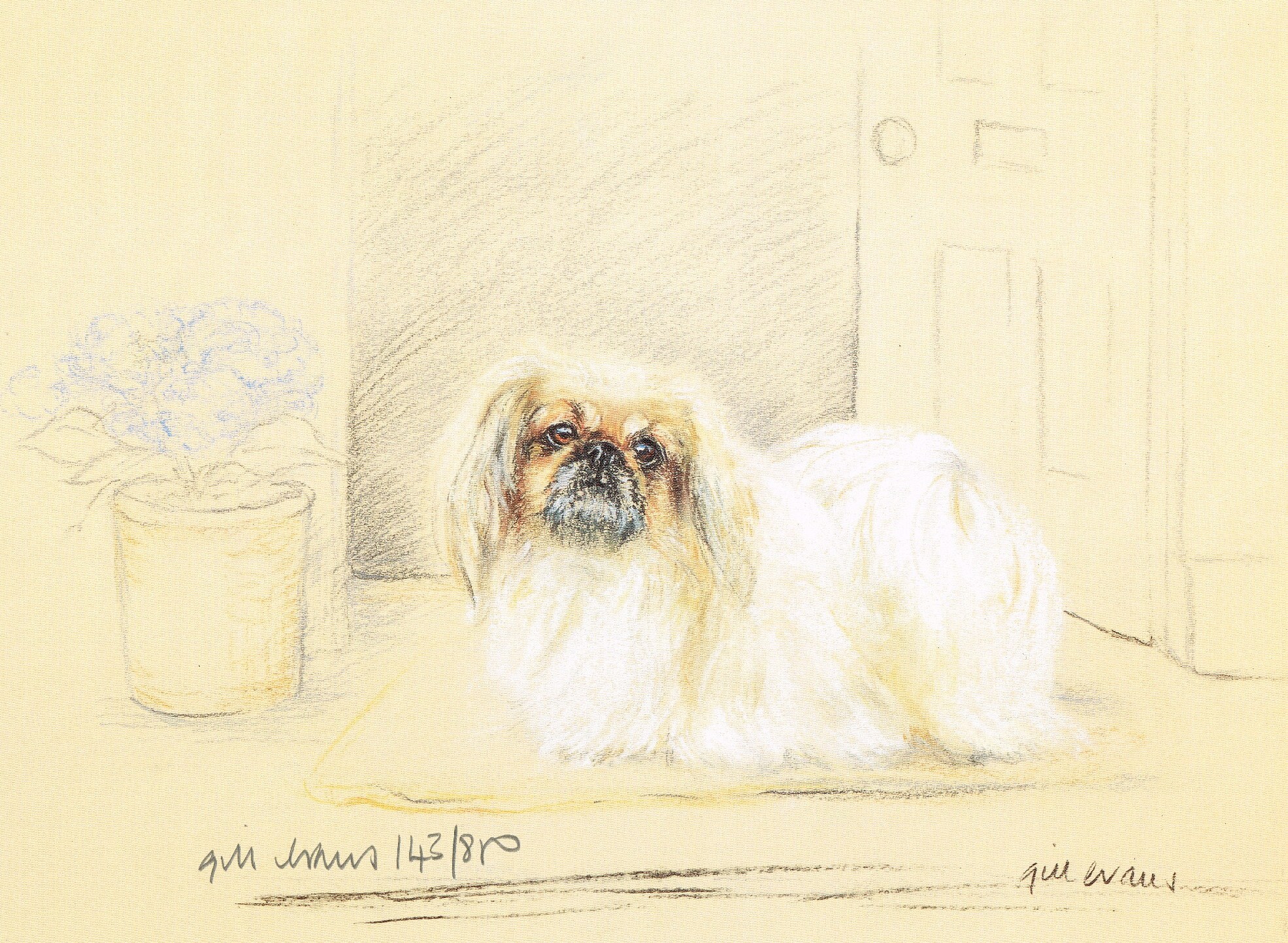 Pekingese Print, Pekingese Picture  GE147P