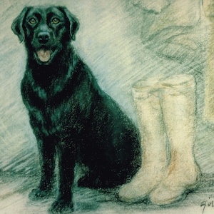 Black Labrador Retriever Print, Black Labrador Retriever Picture  GE180P