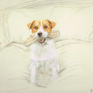 Jack Russell Terrier  Print, Jack Russell Terrier Picture  AP21P
