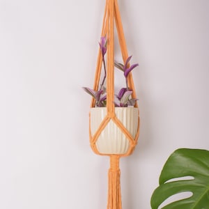 May include: An orange macramé plant hanger with a cream ceramic pot holding a small plant with purple and green leaves. The hanger is suspended from a metal hook and has a wooden ring at the top.