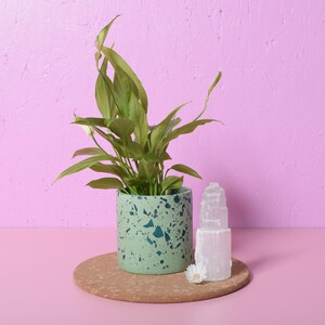 Peut inclure: Une plante en pot avec des feuilles vertes dans un pot tacheté vert clair. Une tour de cristal blanche et une petite fleur blanche reposent sur un dessous de verre rond et marron. Le fond est rose uni.