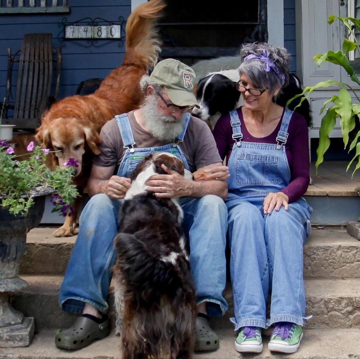 アウガルテン　Willow DappledWillow.jpg?v=1715143410