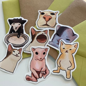 Meme Cat Stickers