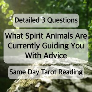 Lecture détaillée du tarot des animaux spirituels de 24 heures