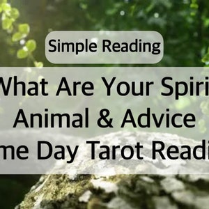 Lectura de Tarot de Animales Espirituales las 24 horas