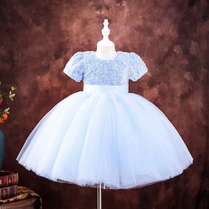 Flower Girls Dress Tutu dress Girls Wedding dress Girls Birthday Party Embroidered Girls Dress blue sequins child dress Tulle Girl Dress