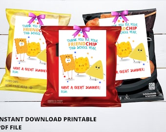 Last Day of School Printable Tag Classroom Treat Tag Friend Chip Bag Tags Thank You Tag End of School Year Teacher Gift Tag Summer Classmate