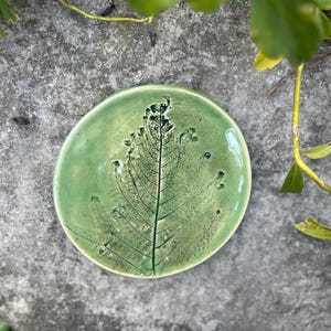 Ceramic Botanical Plates With Plant Imprint | Green With Leaf or Flower ...