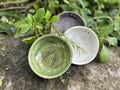 Herb Stripper Rosemary green, Lavender kitchen utensils, pottery rustic accessory, cooking gadget gift idea for cook