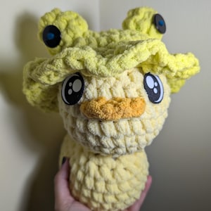 Frog Hat Duck