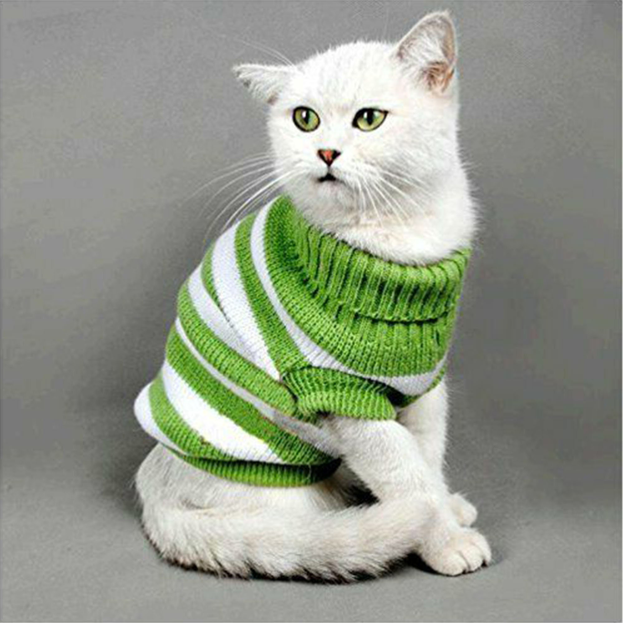 Sweater for Cats Knitwear Striped Cat Sweaters Kitty Small | Etsy