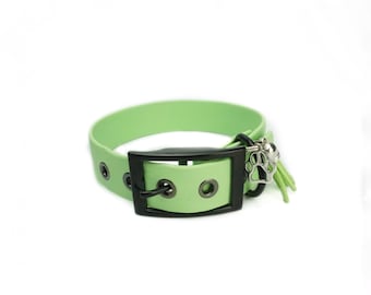 Coleira para cães Biotano | Cores diferentes | larguras diferentes | Coleira para cachorro | Coleira de biotano | Personalizado