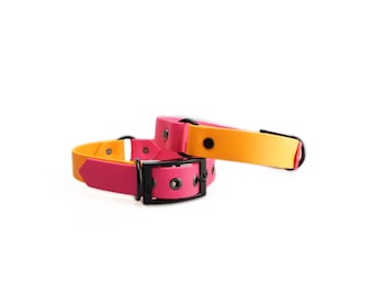 Coleira para cães Biotano com 2,5 cm de largura | Cores diferentes | Coleira para cachorro | Coleira de biotano | Personalizado | Cachorro