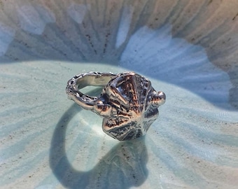 Shell Signet Ring