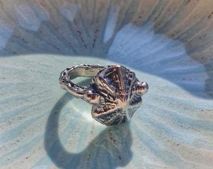 Shell Signet Ring