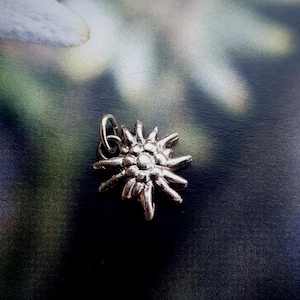 Silver Edelweiss Pendant, Edelweiss Mountain Necklace, Courage Flower Pendant, Edelweiss Flower Pendant, Meaningful Gift