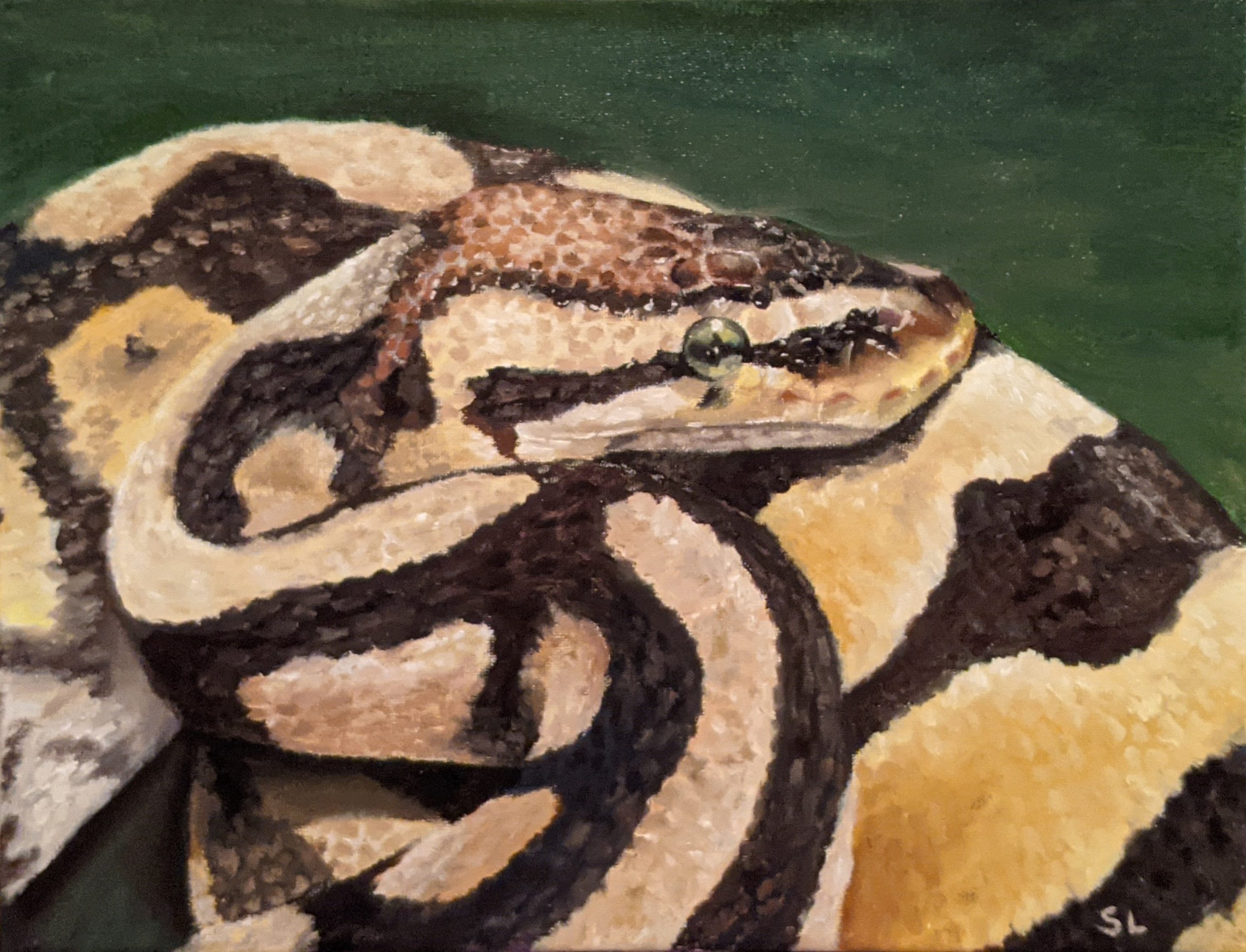 Pastel Ball Python Original Oil Painting | Etsy