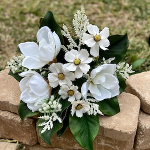 Magnolia