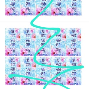 5/75 hold pink  daisy houdini