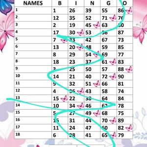 18 line butterfly houdini