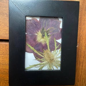 May include: A small, rectangular black picture frame. Inside the frame is a pressed purple flower with green and tan accents. The flower is centered on a white background. The frame is sitting on a wooden surface.