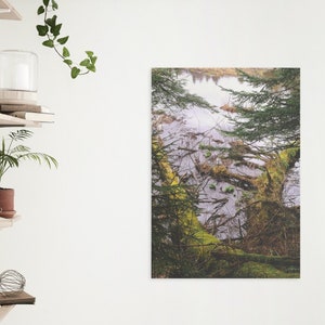 Lake Shore Print, Fallen Trees Photography Print, Moss Covered Trees Print, Nature Landscape Photography Print, Instant Download, Portrait