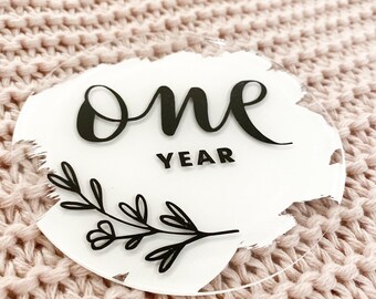 Personalized Acrylic Baby Milestone Discs: Hand-Painted Photo Props