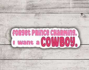 I Want A Cowboy Sticker, Bookish Merch And Accessories, Kindle and Laptop Booktok, Spicy Smutty Romance Reader, Western Romance Books