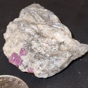 May include: A small, rough, gray rock with two pink ruby crystals embedded in it. The rock is about the size of a US quarter.