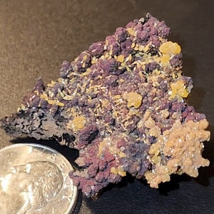May include: A close-up of a purple and yellow mineral specimen. The specimen is about the size of a US quarter.