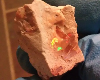 27.4 carat Mexican Fire Jelly Opal Rough specimen. This opal specimen is natural and untreated. From Magdalena, Mexico. Gem Crystal is 9mm.