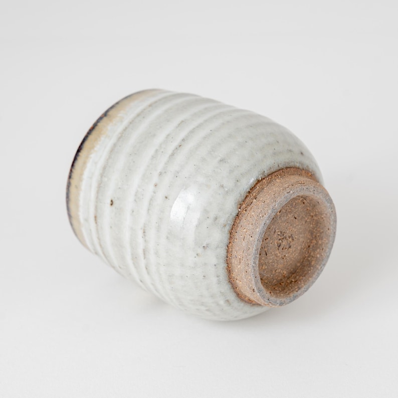 Great Zakka Shigaraki Yunomi Cup - Thumbnail 5