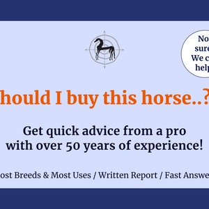 May include: A blue and white graphic with a silhouette of a horse in a target. The text reads "Should I buy this horse...? Get quick advice from a pro with over 50 years of experience! Most Breeds & Most Uses / Written Report / Fast Answers"
