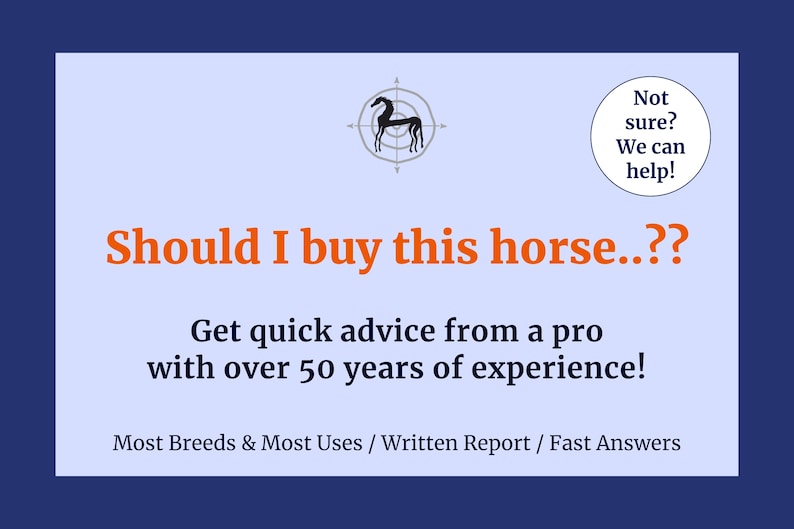 May include: A blue and white graphic with a silhouette of a horse in a target. The text reads "Should I buy this horse...? Get quick advice from a pro with over 50 years of experience! Most Breeds & Most Uses / Written Report / Fast Answers"