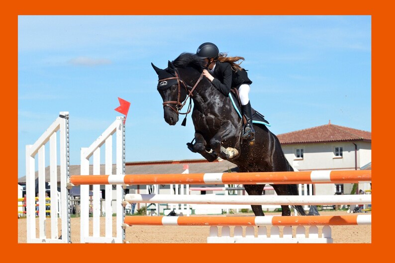 May include: A black horse jumps over a white and orange fence with a rider wearing a black helmet and black riding clothes.