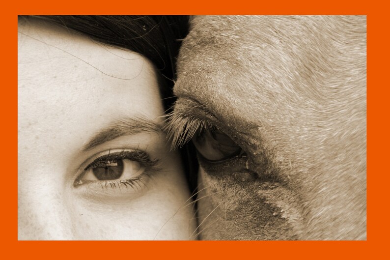May include: A close-up of a woman's eye and a horse's eye, both looking in the same direction. The woman's eye is closed, while the horse's eye is open. The image is in sepia tone.