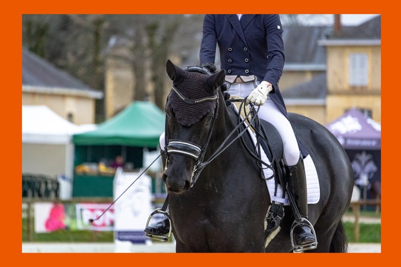 May include: A black horse with a black bridle and a black fly mask is being ridden by a person wearing a black jacket, white pants, and black riding boots. The horse is in a riding arena with a green tent and a white building in the background.