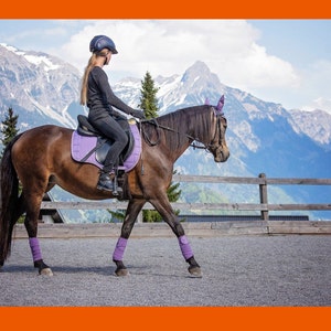 May include: A person riding a brown horse in a riding arena. The horse is wearing purple leg wraps and a purple saddle pad. The rider is wearing a black helmet, black long-sleeved shirt, and black riding pants. The background is a mountain range with snow-capped peaks.