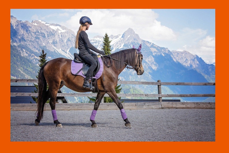 May include: A person riding a brown horse in a riding arena. The horse is wearing purple leg wraps and a purple saddle pad. The rider is wearing a black helmet, black long-sleeved shirt, and black riding pants. The background is a mountain range with snow-capped peaks.