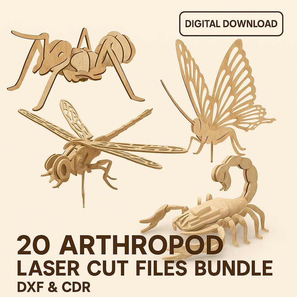 Insect 3D Puzzle Laser Cut Files: CNC Router Vector Bundle