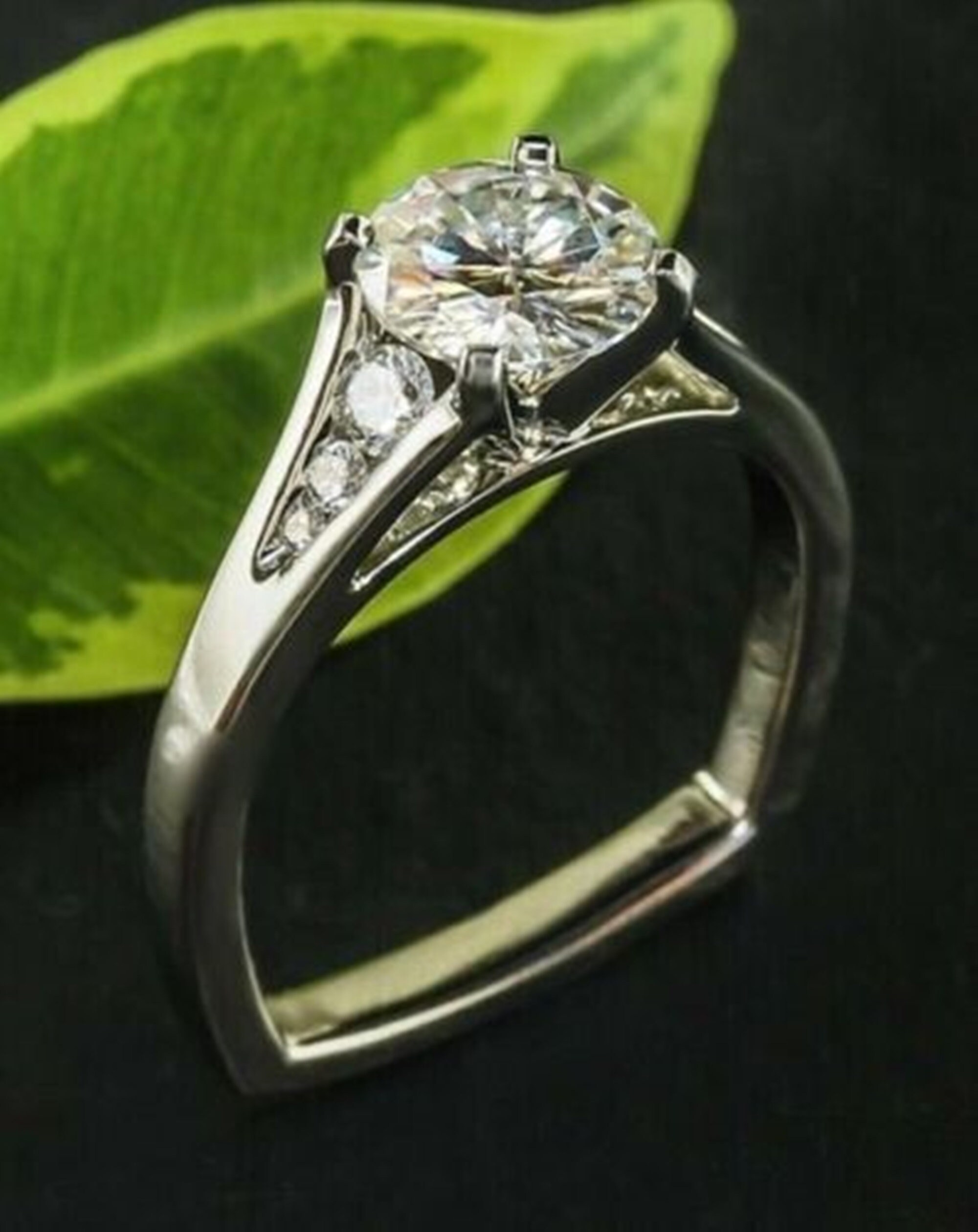 euro shank anniversary band