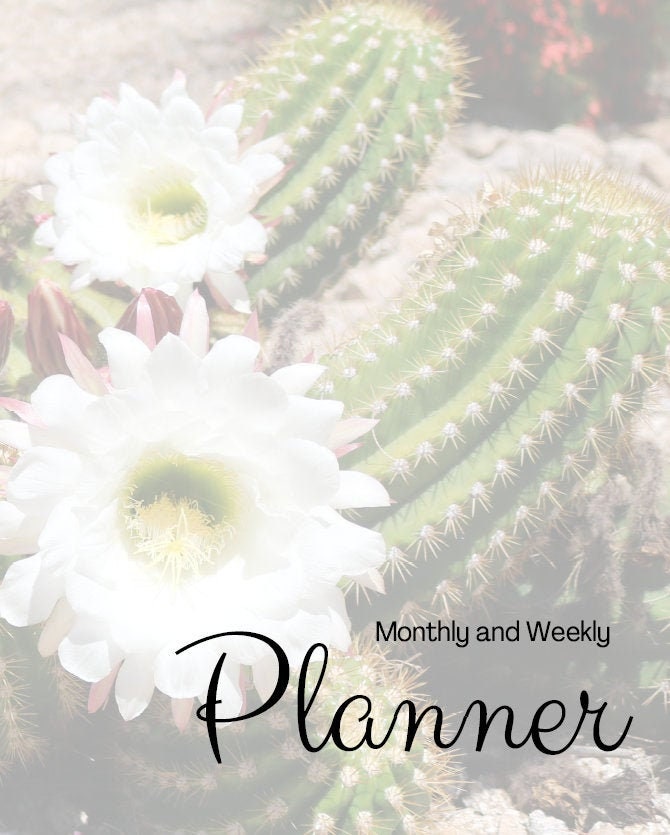 Printable Yearly Planner PDF, Calendar, Color Calendar, Full Year Calendar, Full Year Planner ...