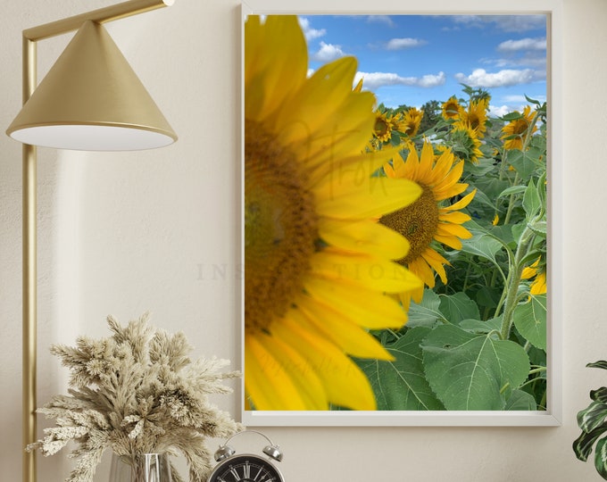 Sunflower, PNG, Instant Download, Sublimation