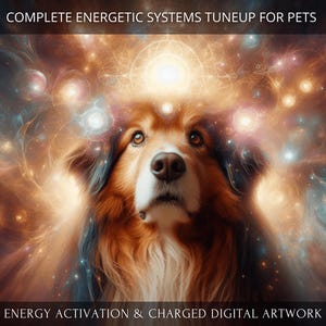 May include: A digital illustration of a dog with a golden brown coat and a white chest, surrounded by a swirling galaxy of light and colour. The text "COMPLETE ENERGETIC SYSTEMS TUNEUP FOR PETS" is at the top of the image, and the text "ENERGY ACTIVATION & CHARGED DIGITAL ARTWORK" is at the bottom.