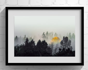 Autumn Awakes, Single Yellow Tree in a Green Forest, Fall Home Decor, Wall Art and Office Decor, Northwest Photography