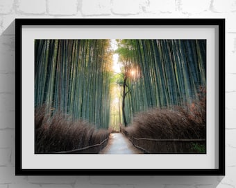 Arashiyama Bamboo Grove - Kyoto Japan - Fine Japanese and Southeast Asian Prints - Office and Home Decor - Premium Wall Art
