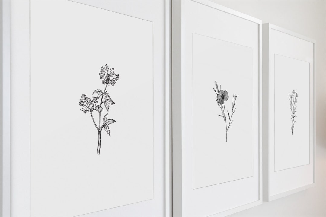DIY WALL ART Prints, Set of 3 Prints, Vintage Flower Prints, Botanical