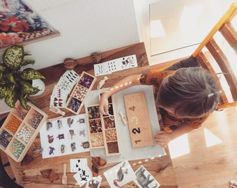May include: A child sits at a table with a variety of Montessori learning materials, including a wooden tray with different types of seeds, a wooden tray with beads, a set of cards with animal illustrations, and a wooden board with numbers 1-10. The child is using a small wooden scoop to transfer seeds from one tray to another.