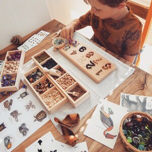 Numéros en bois Montessori/Tableau de numéros Montessori/Tableau de numéros/Tableau de matériel d’apprentissage Montessori/Jeux Montessori/Activités Montessori